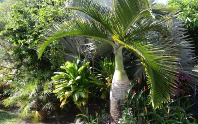 Hitimoana Villa Tahiti