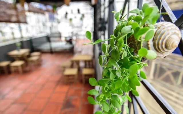 The Like Hostel & Cafe