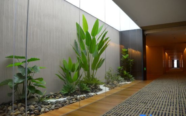 Longshun Hotel – Hotel Rooms – Fuzhou