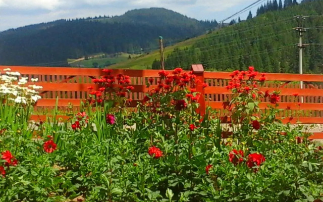 Romashka Guest House