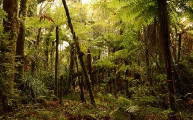 Pupu Rangi Nature Sanctuary