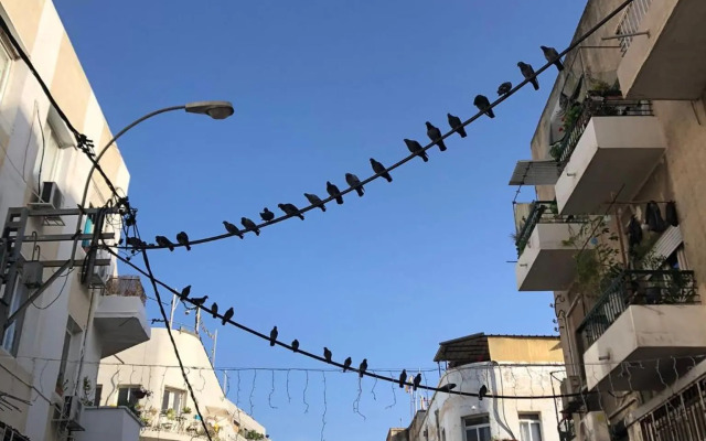 Lev Florentin Apartments