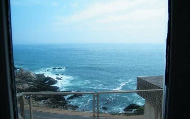 Thalassus