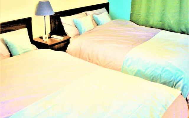 Spacious Apartment Sunshine City