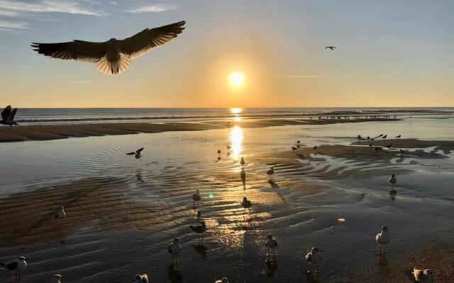 Flamboyant Apartments