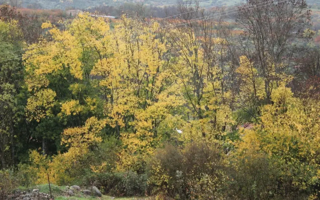 Casa Rural de Agroturismo el Vallejo