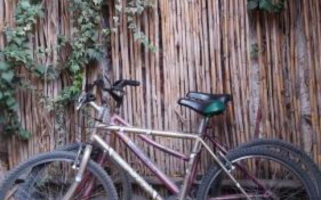 Hostel Cafayate Backpackers