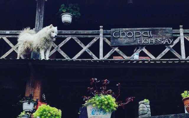 Tavan Chopai Homestay - Hostel