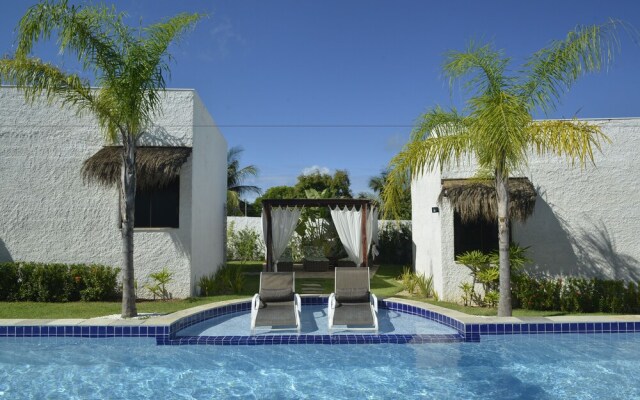 Oasis Tajaja