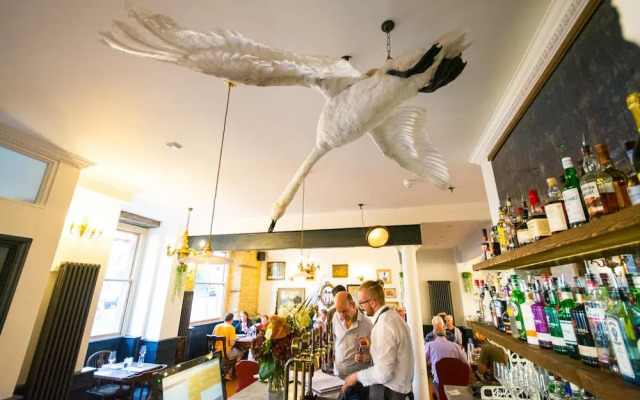 The Crooked Swan