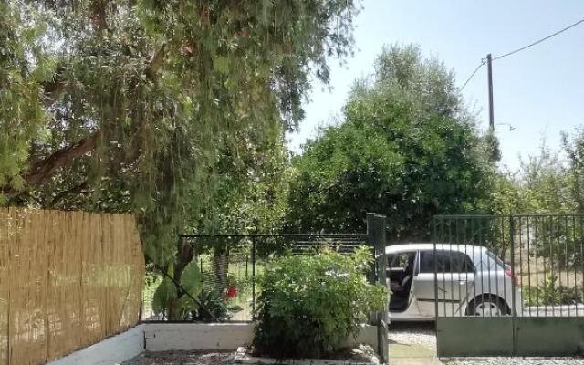 Maro House