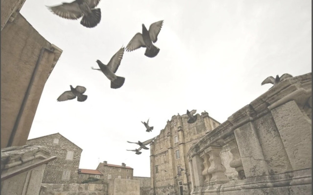 Sea View West Room With Bath, Kitchen, Yakuzzi on Terrace