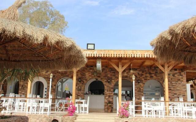 sunshine diving center