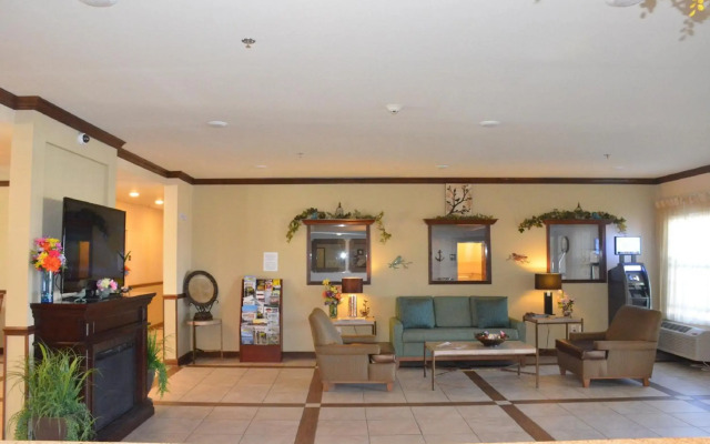Spark by Hilton Minot