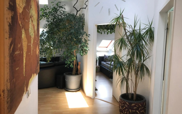 Stadtdschungel FeWo mit Balkon