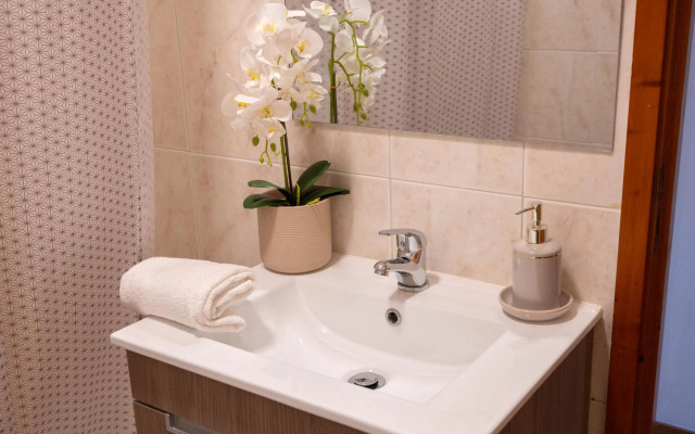 Gaia Douro Apartment