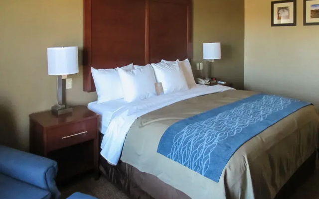 Country Inn & Suites
