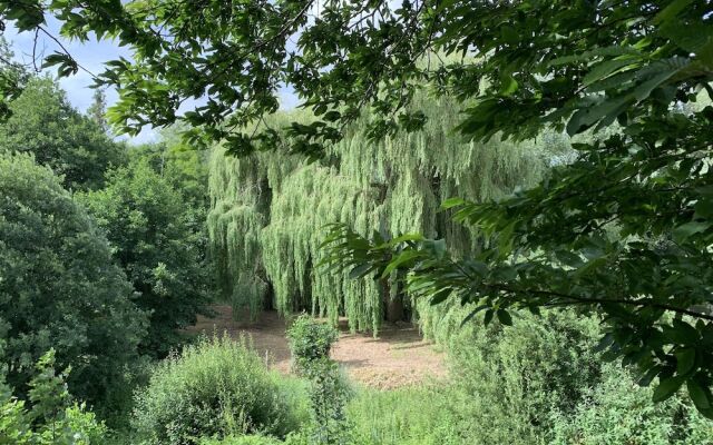 Wensum Glamping