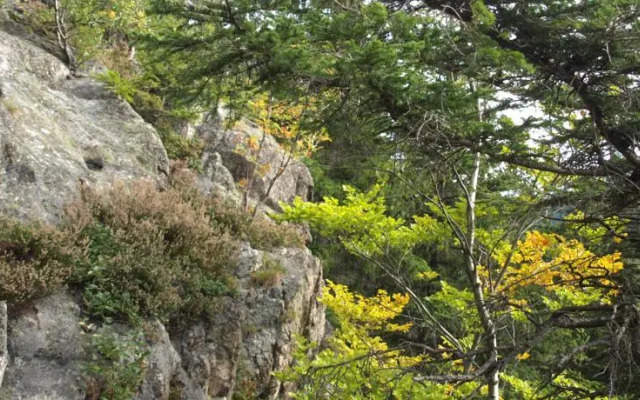 Pensjonat Widok - Bike Hotel