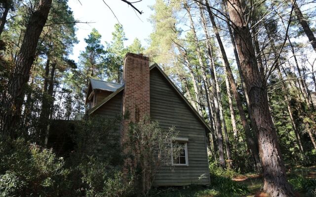 Holly Lodge Medlow Bath