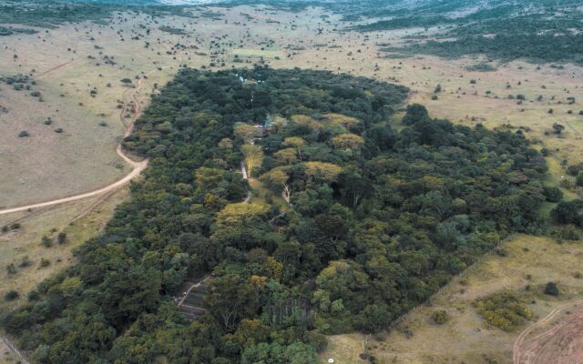 Sarova Mara Game Camp