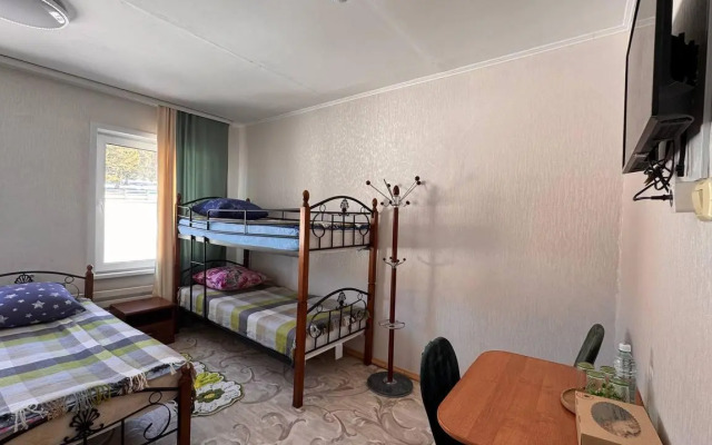 Кедр Золотой