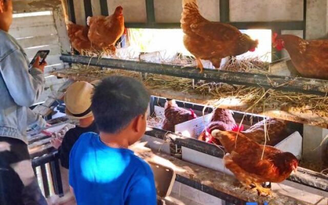 Tantai Eco Farm Stay at Khao Yai