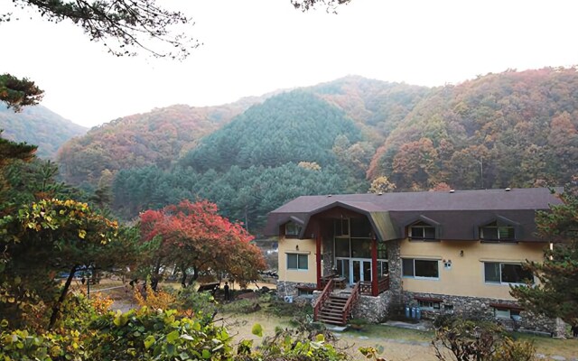 Yangpyeong Dotorigol Pension