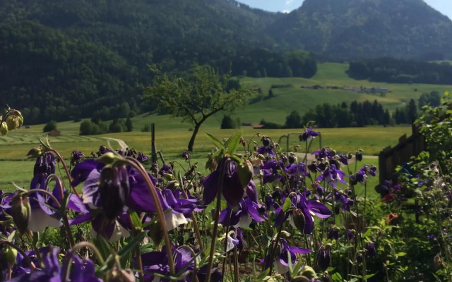 Schifterhof Ruhpolding