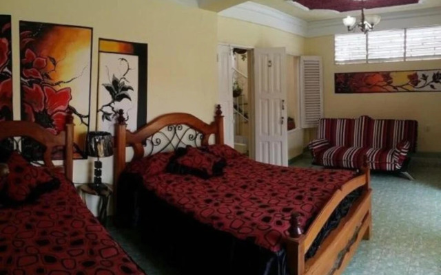 Girasol and Friends Rooms