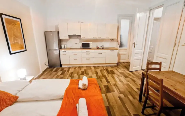 Classic 2BR Viennese Apt Near Downtown