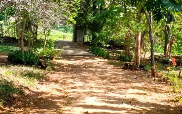 Yoho Lavonrich Bungalow