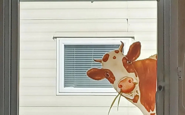 The Static Cowavan Towyn