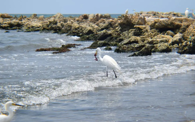 Apartamentos con vista al Mar - Edificio Conquistador