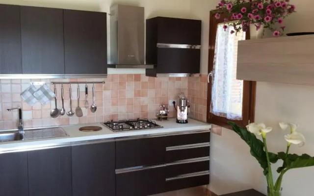 Memories - Le Bacche di Maiorca