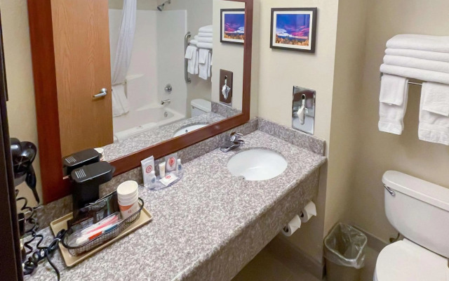 Comfort Inn & Suites Midtown