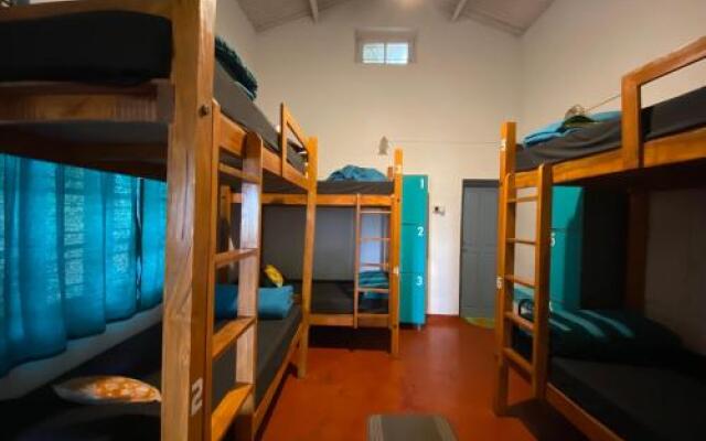 The Birdhouse Backpackers Hostel