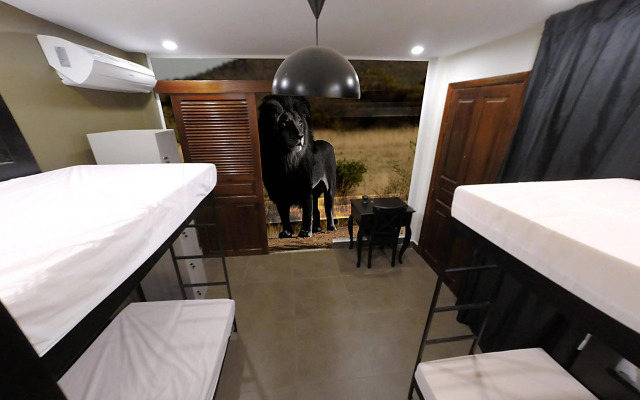 Aura Thematic Hostel