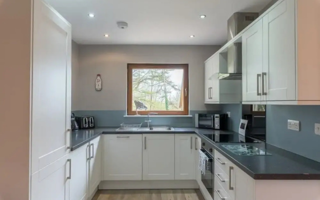 Lord Galloway 32 (H 2016) 82334