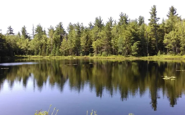 Tentrr - Pondwood Pines in Wonalancet