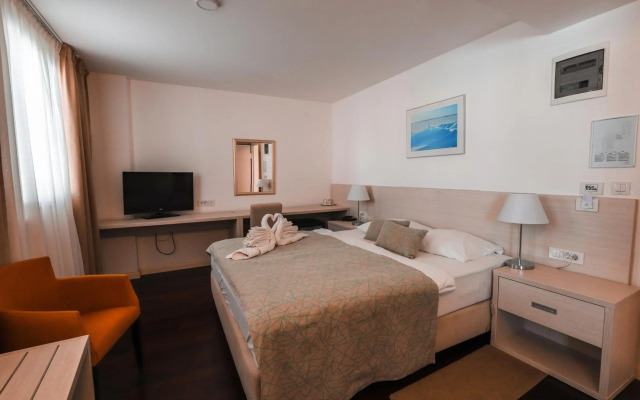 Hotel Borovnik