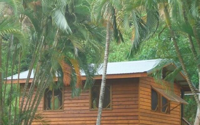 Daintree Rainforest Bungalows