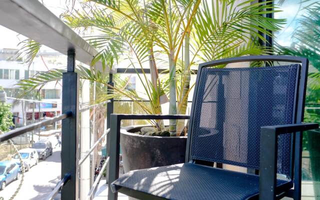 Lotus-5 by Playa District