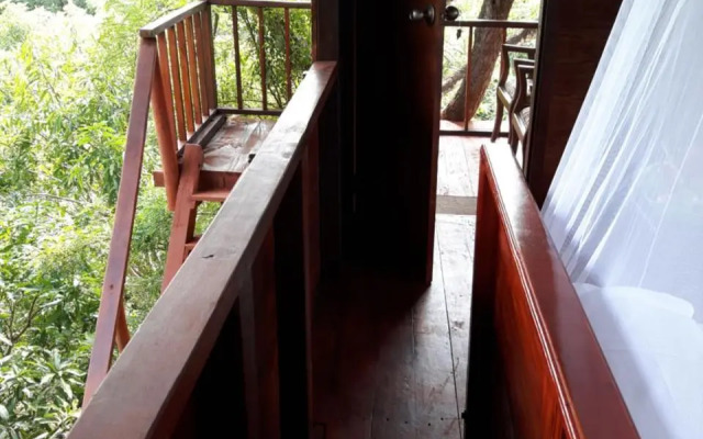 Dambulla Tree House