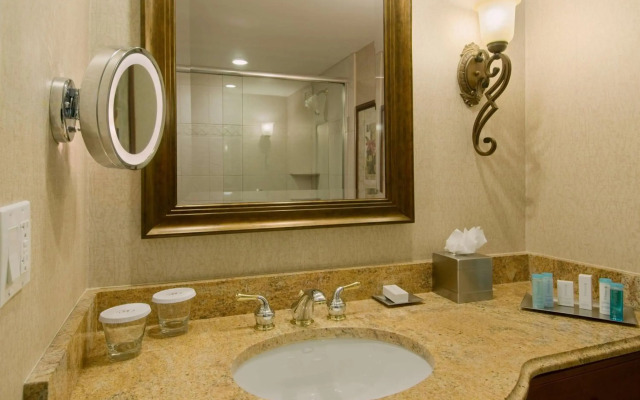 DoubleTree by Hilton Lisle Naperville