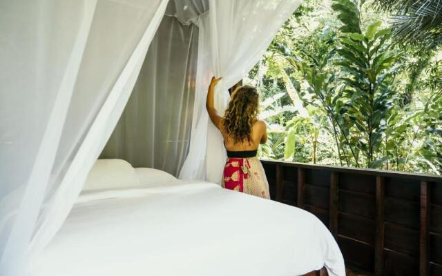 La Loma Jungle Lodge