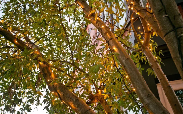 The Rosebery Boutique Hotel