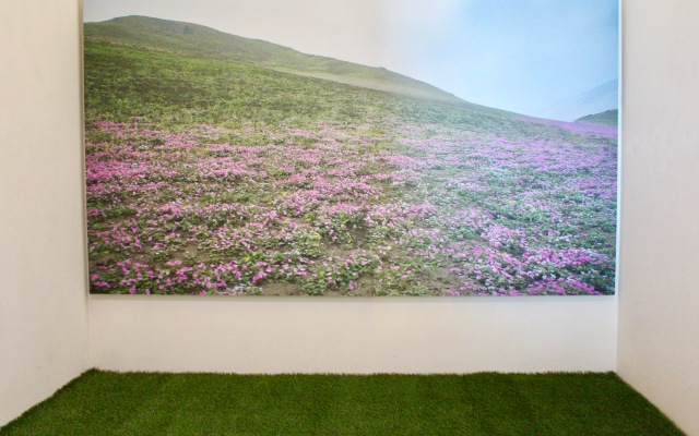 Habitat Hotel