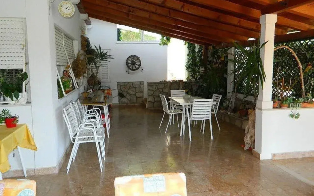 Apartment and Room Darinka