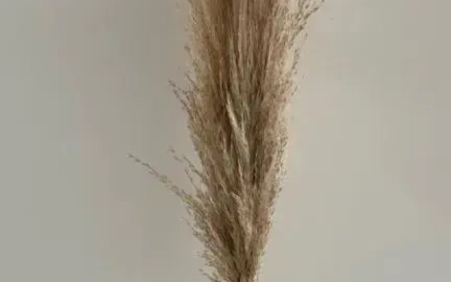 Rs Homestay Bandar Seri Iskandar